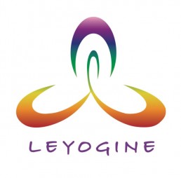 logo yogine